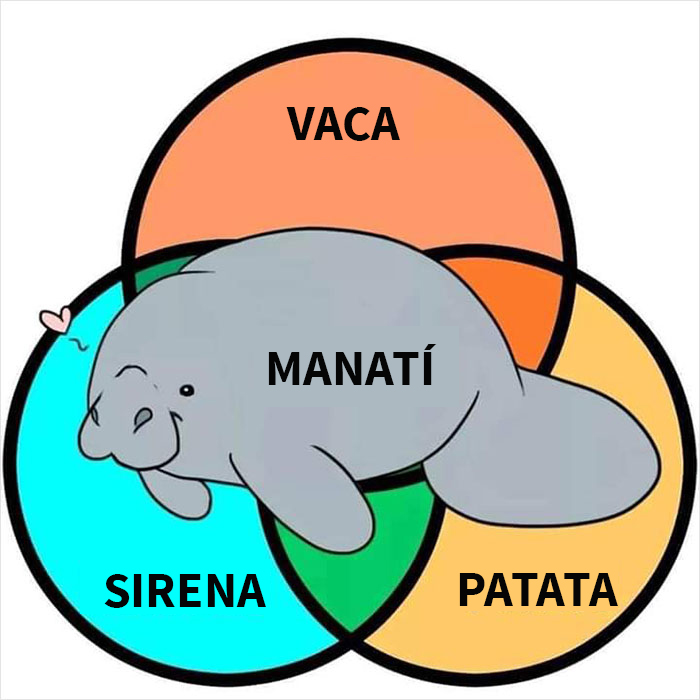 People Are Cracking Up At These 31 Venn Diagrams That Are More Funny Than Useful