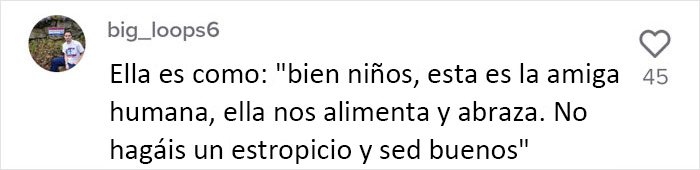 Esta madre mapache lleva a sus 4 hijos a conocer a la señora que le daba de comer