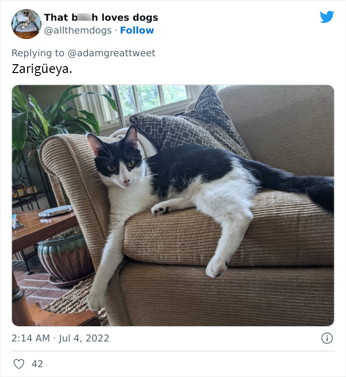 40 Of The Most Bonkers Pet Names, As Shared By Their Owners In This Now-Viral Twitter Thread