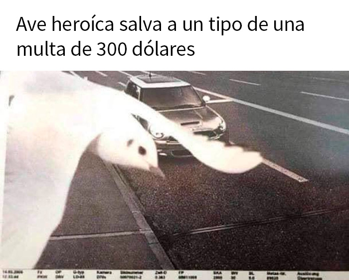 Un tipo con suerte