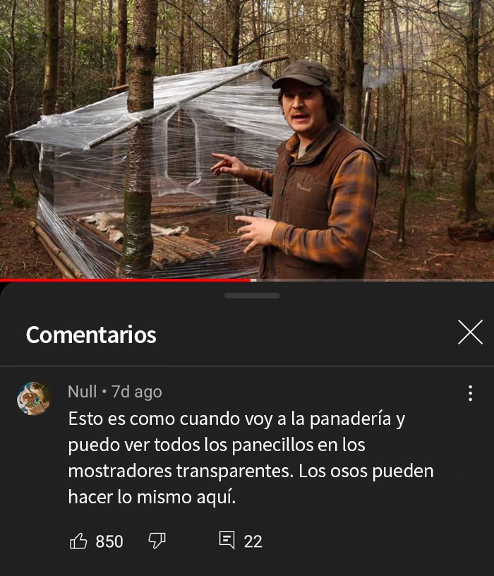 Construir una cabaña en el bosque con plástico de embalaje