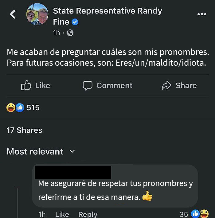 ¿Cómo funcionan los pronombres?