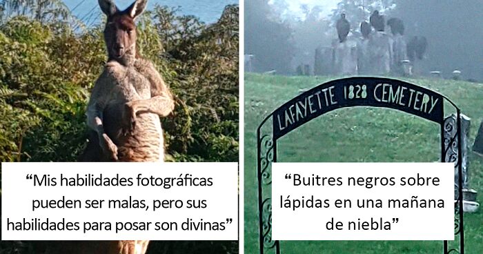 Un grupo de amigos, jugar ajedrez y bebe cerveza en un campamento de verano  en el bosque Fotografía de stock - Alamy