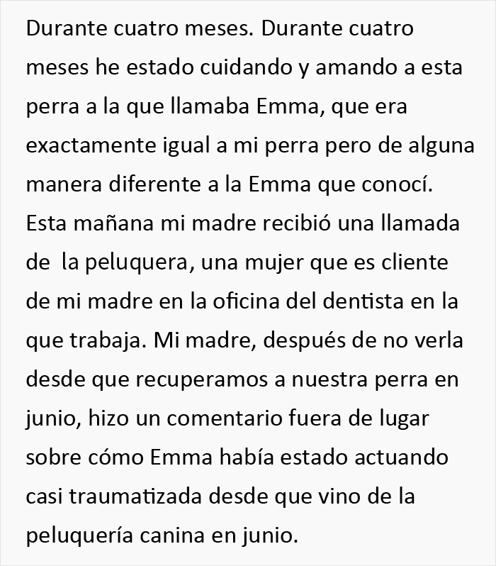 Esta persona recoge a su perro del peluquero y se da cuenta de que actúa de forma extraña, hasta que descubre la verdad 4 meses después