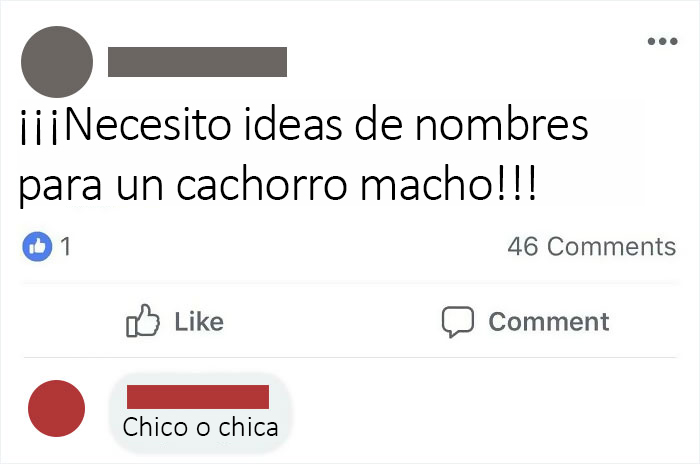 ¿Es un macho, un chico o una chica?