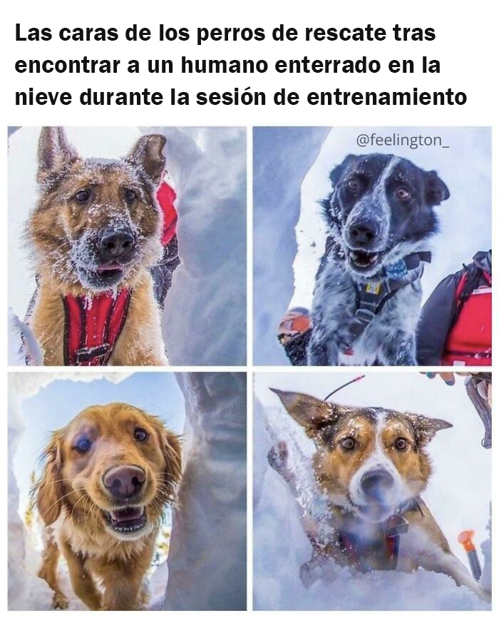 Búsqueda y rescate, antes que ir a por la pelota cualquier día