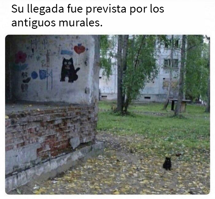 Ha regresado una vez más