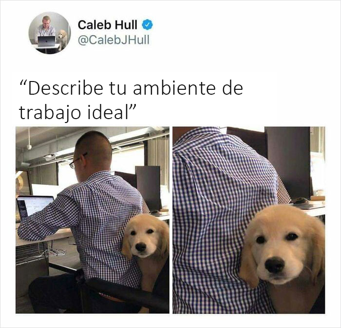 Lo necesito