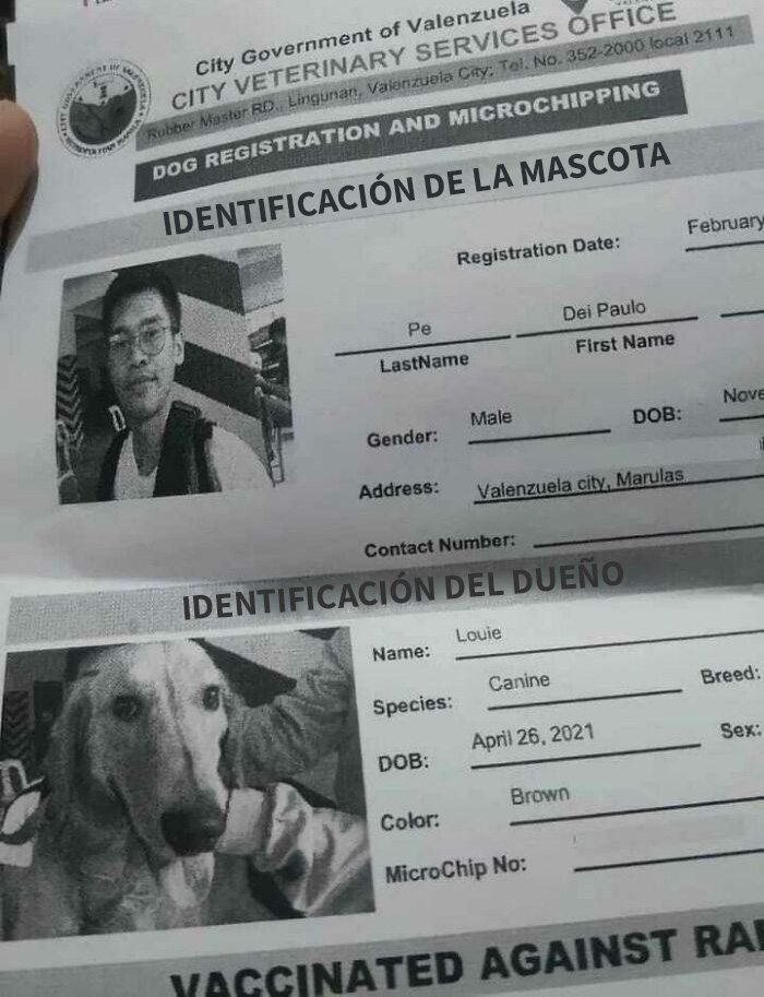 De registrar a la mascota