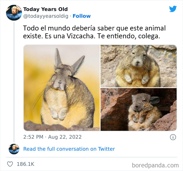 The ‘Today Years Old’ Social Media Project Shares Cool Facts, And Here Are 50 Of The Very Best Ones