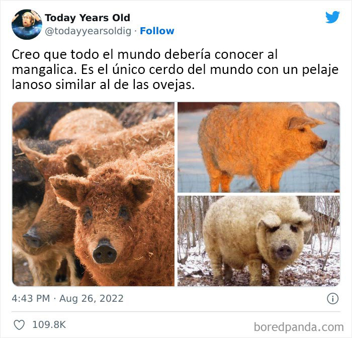 The ‘Today Years Old’ Social Media Project Shares Cool Facts, And Here Are 50 Of The Very Best Ones