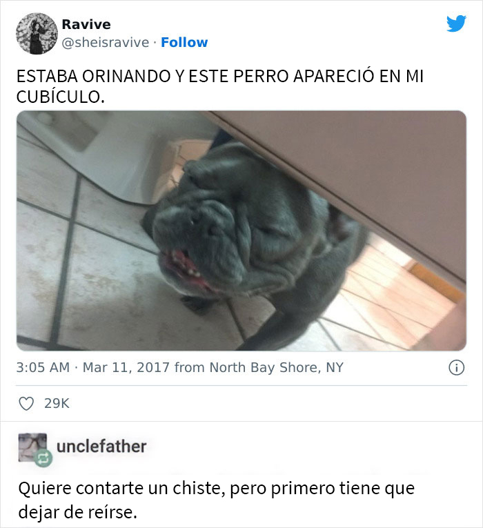 Un perrito reconfortante