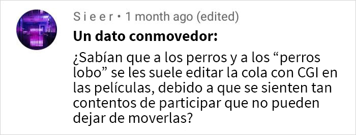 Dato reconfortante sobre perros