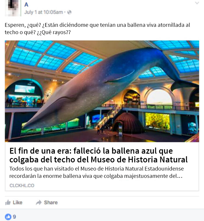 El fin de una era: falleció la ballena azul que colgaba del techo del Museo de Historia Natural