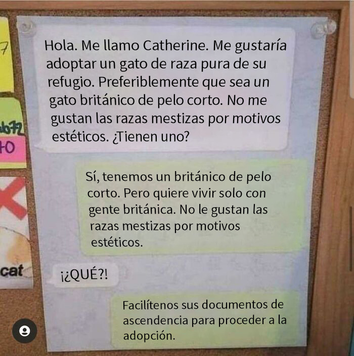 ¡Una buena respuesta!