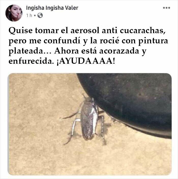 Cucaracha acorazada. +300 en defensa, 20 en ataque y 15 en velocidad. Puedes matarla usando fuego o golpeándola 20 veces