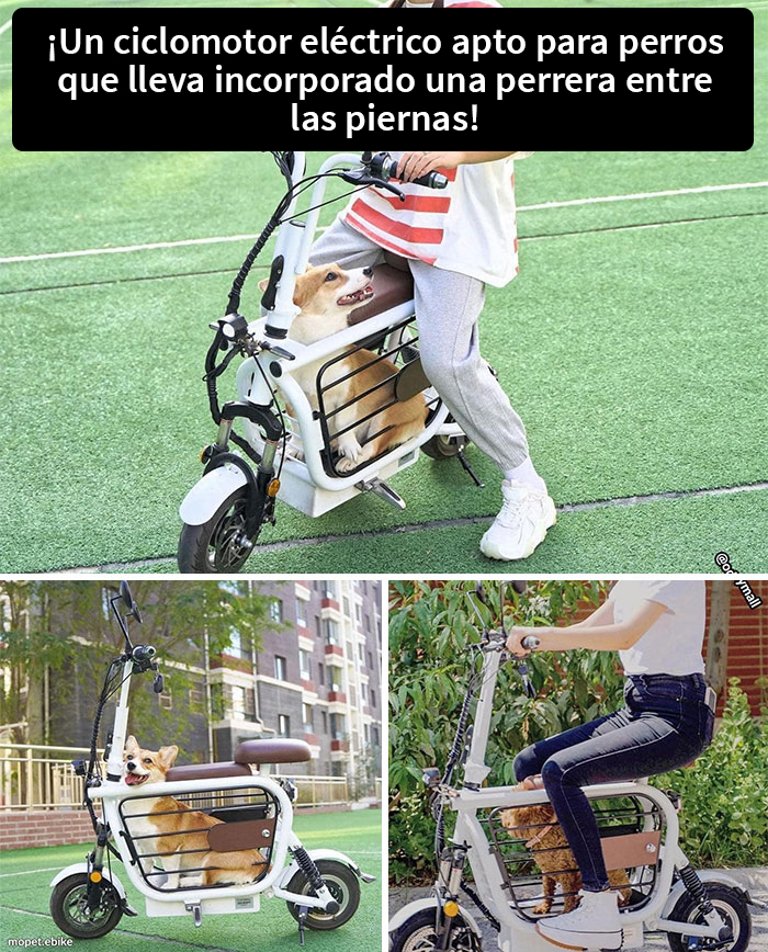 ¡Una gran idea!