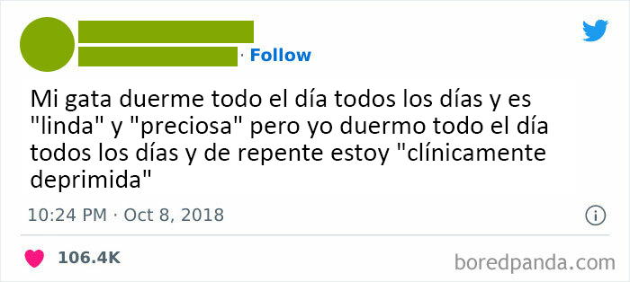 Los gatos sólo viven su mejor vida