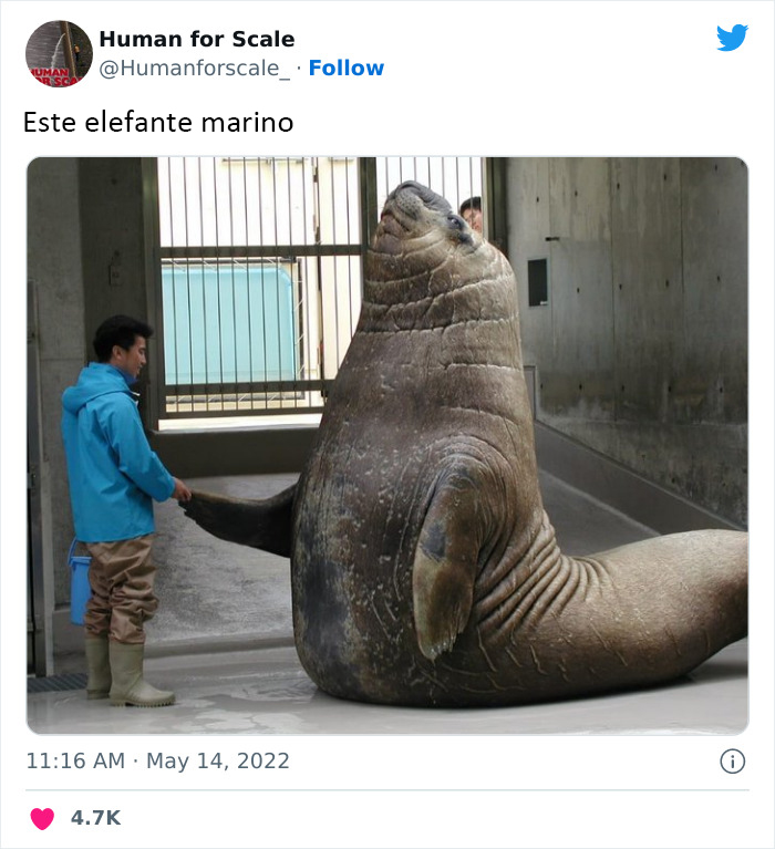 40 Photos With Humans For Scale To Show Just How Big Stuff Really Is, As Shared On This Twitter Page