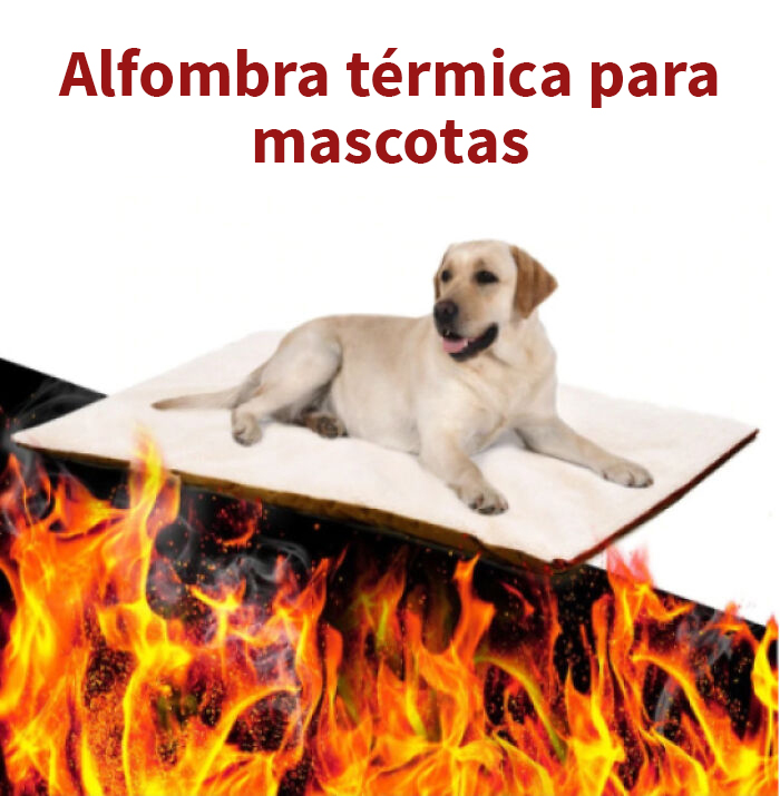 Esta alfombra mágica que viaja por el infierno, para tu perro…