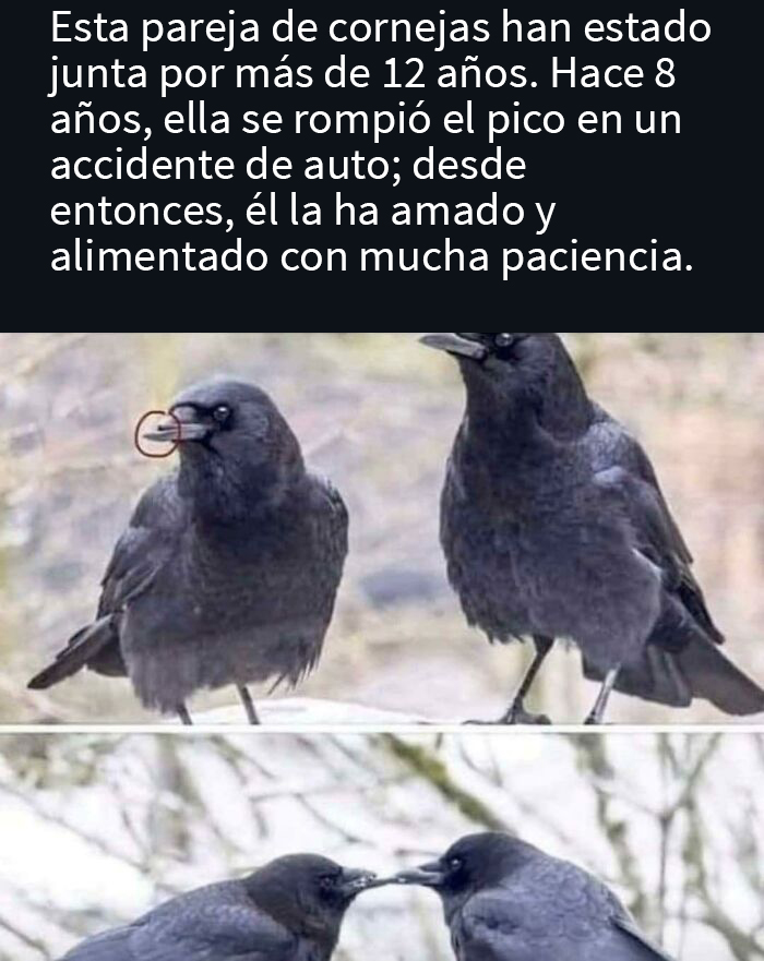 ¡Qué adorable!