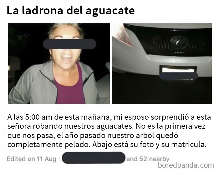 La gran estafa del aguacate