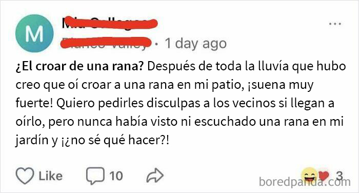 Muchacha, ¿por qué te disculpas por una rana? ¡Dejemos de disculparnos por cualquier cosa!