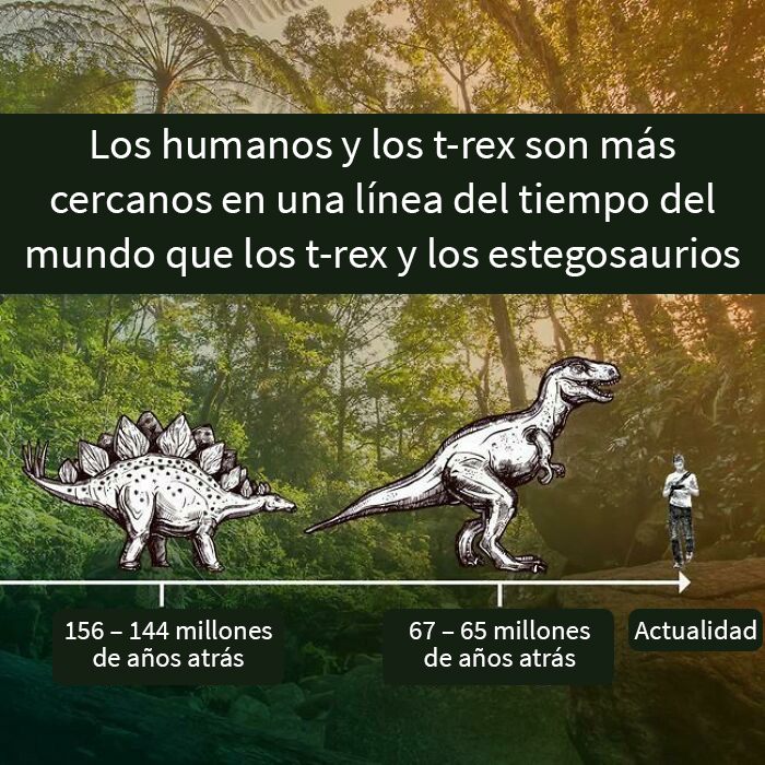 Los humanos y los tiranosaurios rex son más cercanos en una línea del tiempo del mundo que los tiranosaurios rex y los estegosaurios