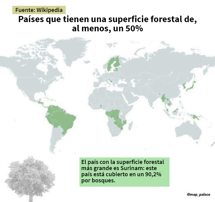 Países que tienen una superficie forestal de, al menos, un 50%