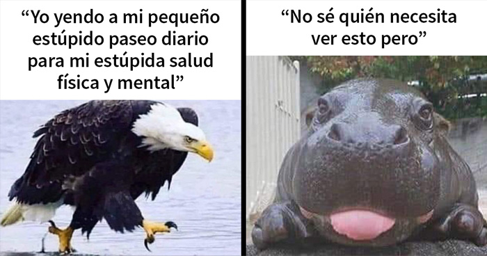 20 Memes sobre la naturaleza y el medio ambiente, compartidos en esta página de Facebook