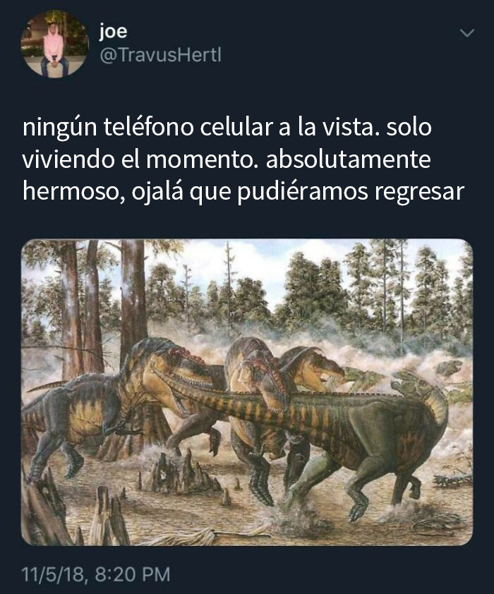 Ojalá que pudiéramos regresar 