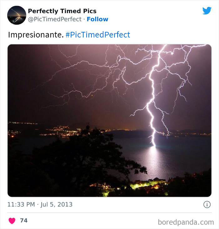 50 "Perfectly Timed Pics" That Might Make You Look Twice