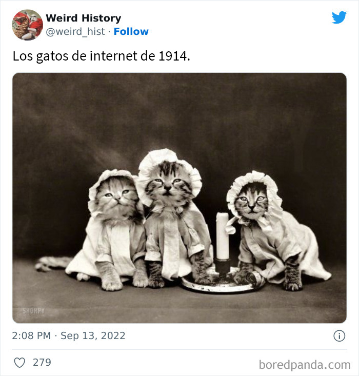 ‘Weird History’ Is An Account That Shares Interesting, Odd, And Funny Things That Happened Throughout History (50 New Pics)