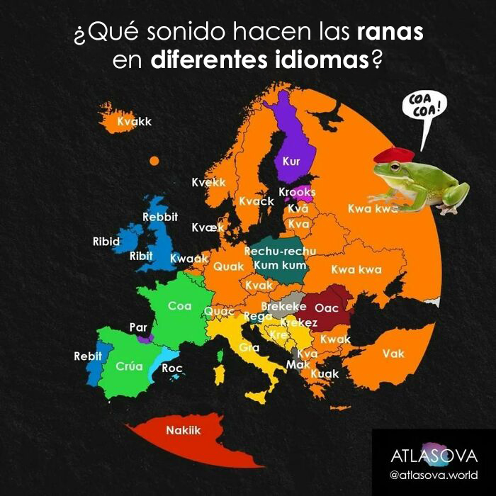 ¿Qué sonido hacen las ranas en diferentes idiomas?