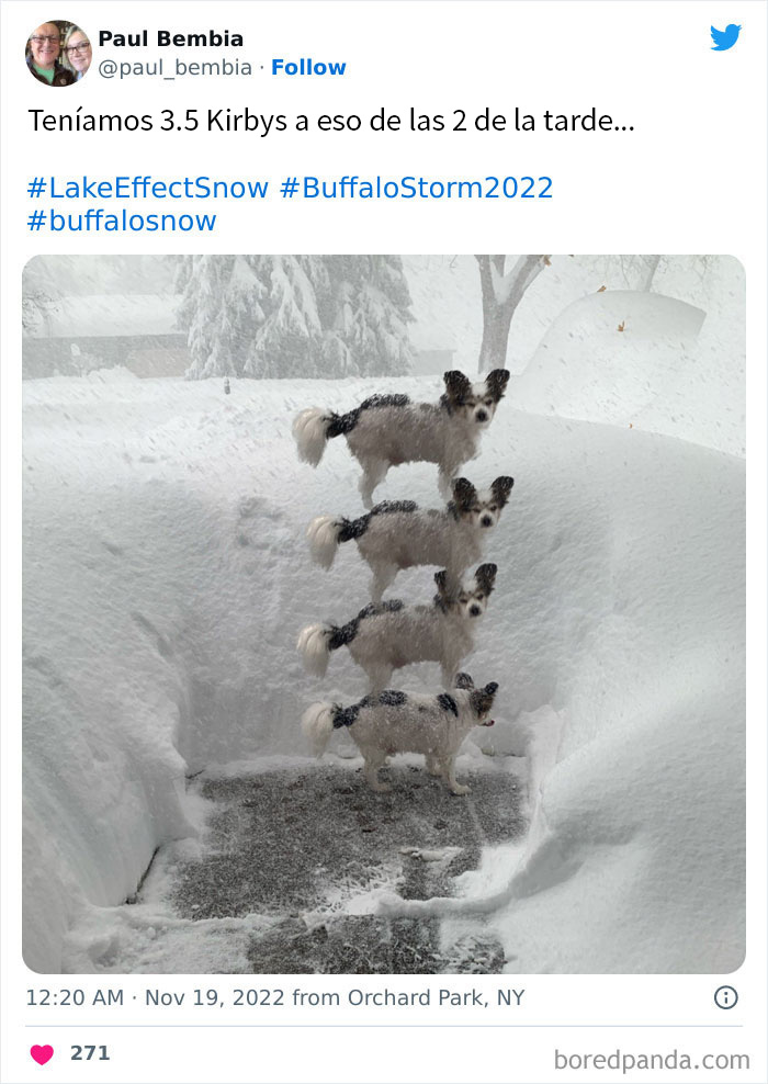 People Are Posting Wild Photos As Buffalo, New York, Digs Up From 6 Feet Of Snow