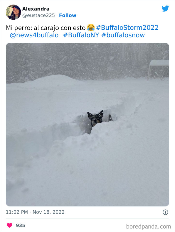 People Are Posting Wild Photos As Buffalo, New York, Digs Up From 6 Feet Of Snow