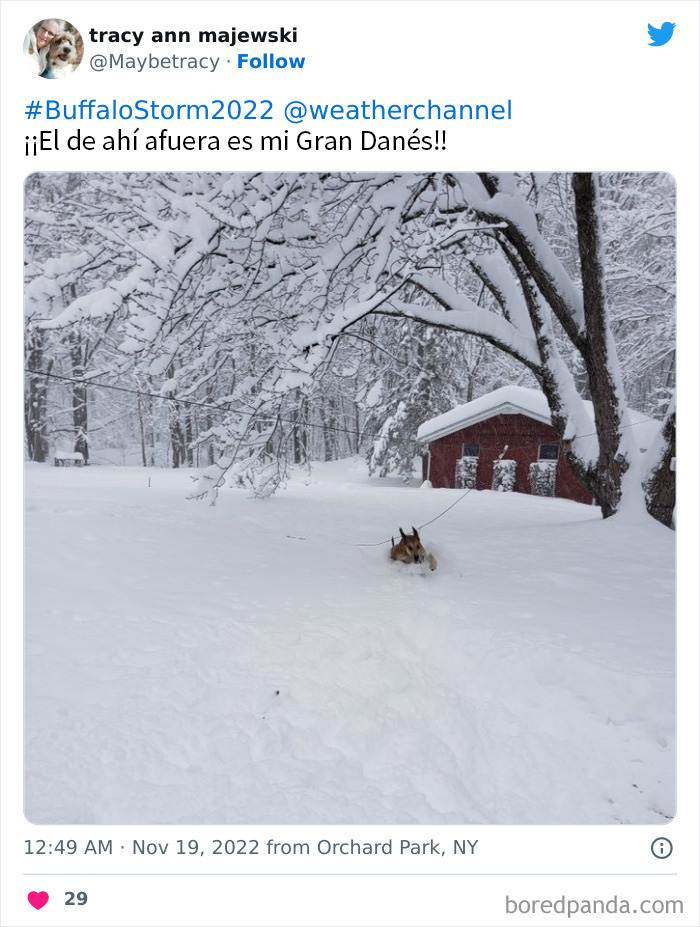 People Are Posting Wild Photos As Buffalo, New York, Digs Up From 6 Feet Of Snow