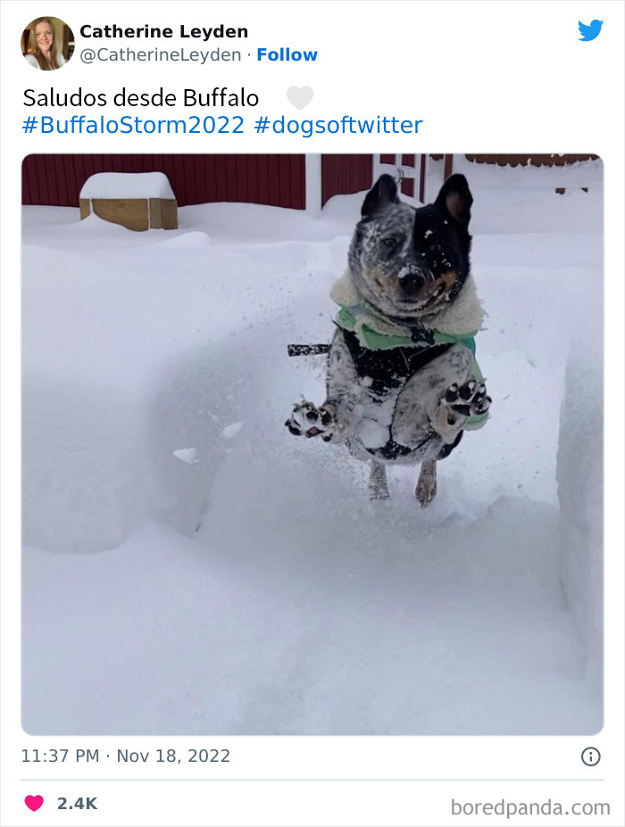 People Are Posting Wild Photos As Buffalo, New York, Digs Up From 6 Feet Of Snow