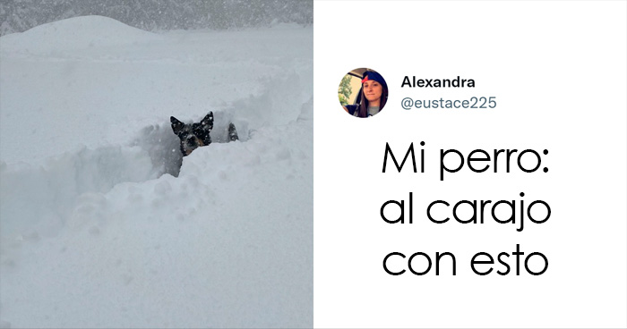 La gente comparte sus impresionantes fotos tras la brutal ventisca que ha dejado casi 2 metros de nieve en Buffalo, Nueva York