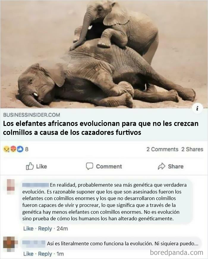 Ah, Sí. La Evolución No Tiene Nada Que Ver Con La Genética