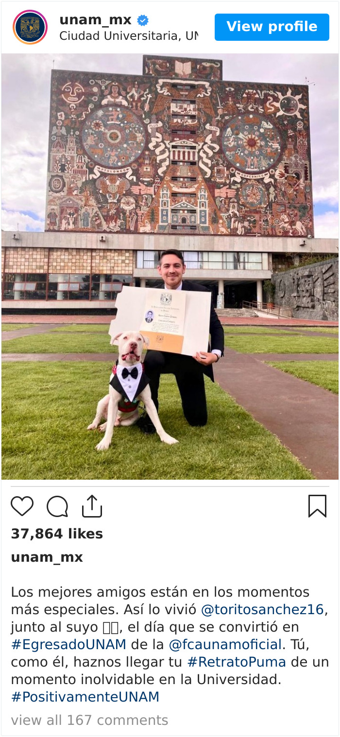 Este mexicano llevó a su perro a su graduación universitaria, y acabó siendo el protagonista