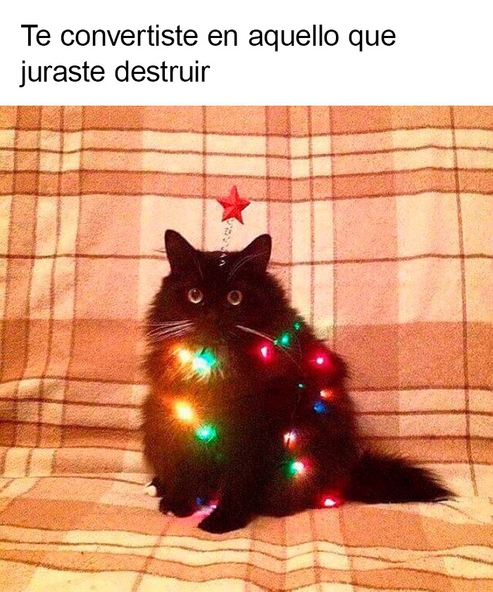 50 Ridiculously-Good Christmas Memes To Get You In A Great Festive Mood (New Pics)