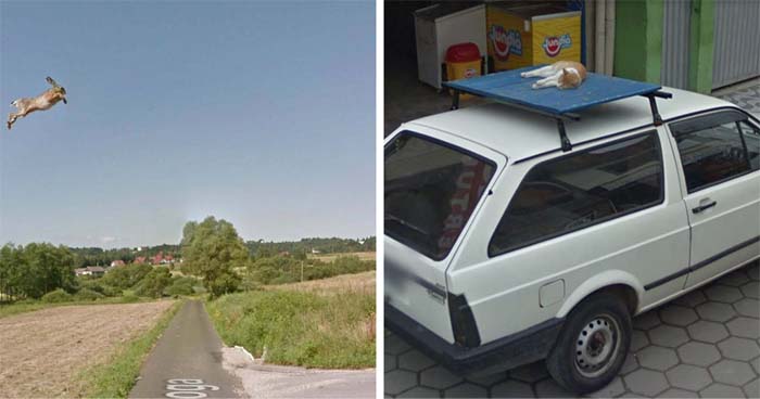 40 Momentos tan divertidos como ridículos captados por las cámaras de Google Street View