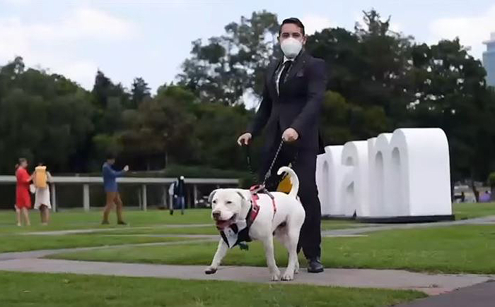 Este mexicano llevó a su perro a su graduación universitaria, y acabó siendo el protagonista