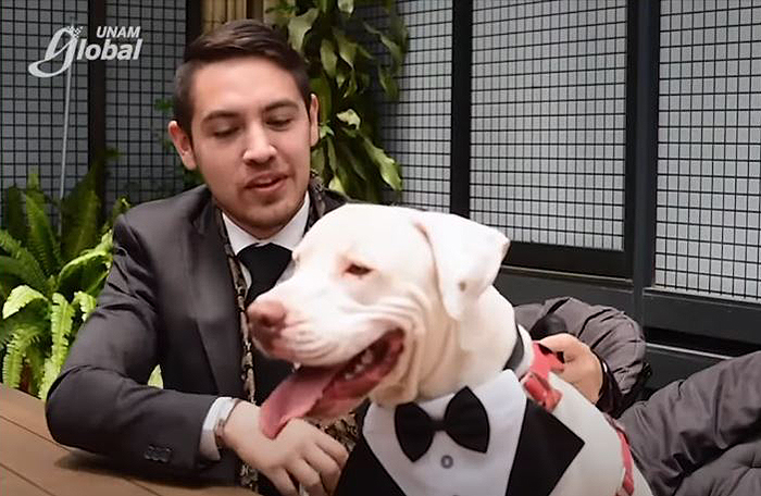 Este mexicano llevó a su perro a su graduación universitaria, y acabó siendo el protagonista