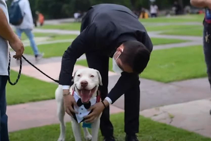 Este mexicano llevó a su perro a su graduación universitaria, y acabó siendo el protagonista