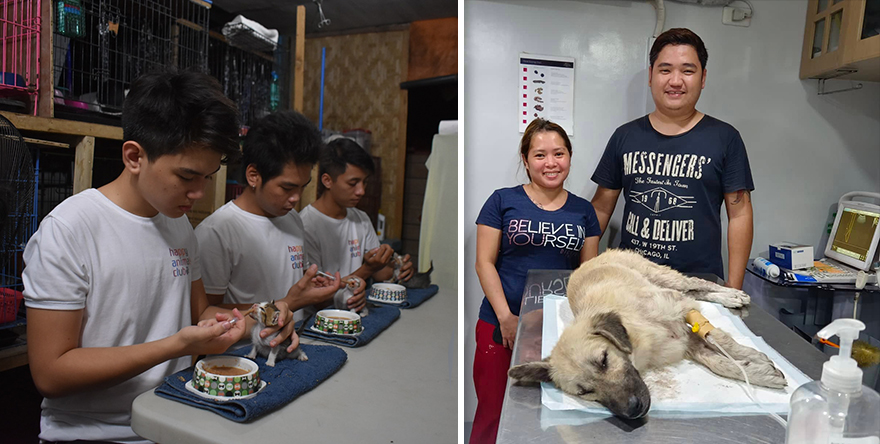 Este niño se escabullía de casa para alimentar a perros callejeros, y ahora tiene su propio refugio de animales