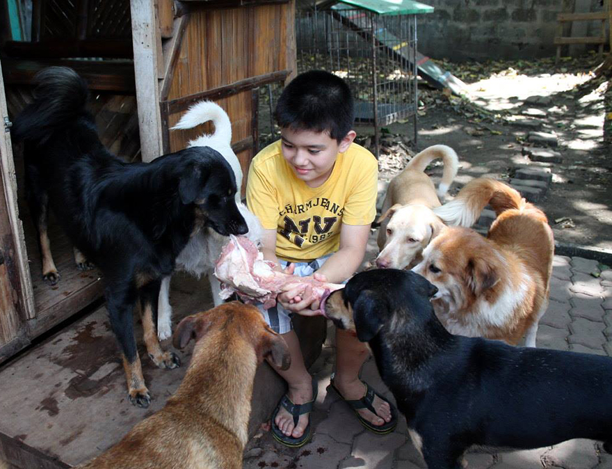 Este niño se escabullía de casa para alimentar a perros callejeros, y ahora tiene su propio refugio de animales