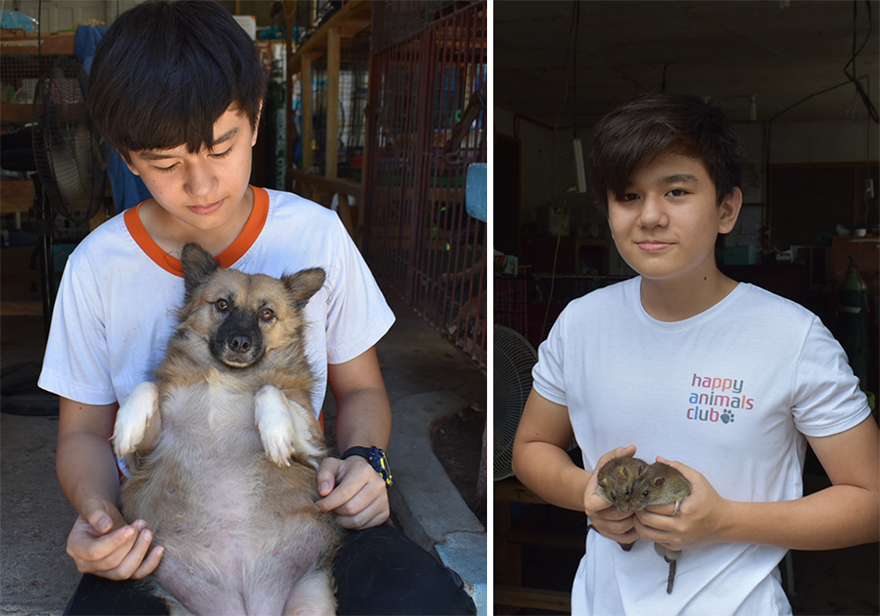 Este niño se escabullía de casa para alimentar a perros callejeros, y ahora tiene su propio refugio de animales