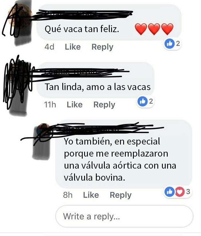 Qué vaca tan feliz